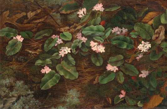 Trailing Arbutus by Fidelia Bridges Art Print