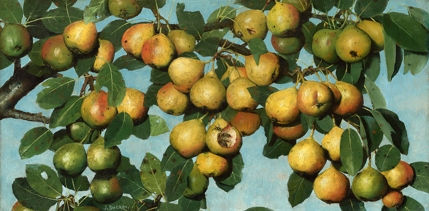 Ripening Pears by Joseph Decker Art Print