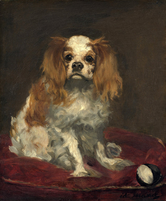 A King Charles Spaniel by Edouard Manet Art Print