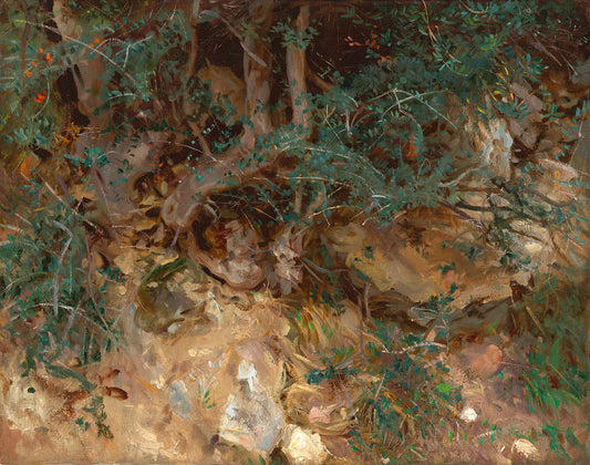 Wild Olive Tree Roots, Valldemosa, Majorca by John Singer Sargent Art Print