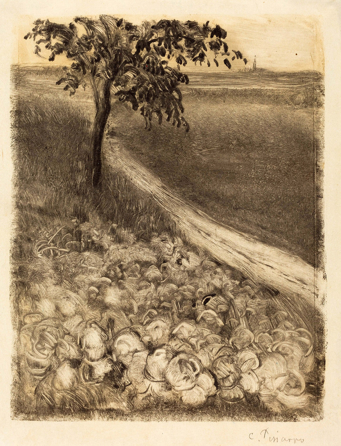 Road by a Field of Cabbages by Camille Pissarro Art Print
