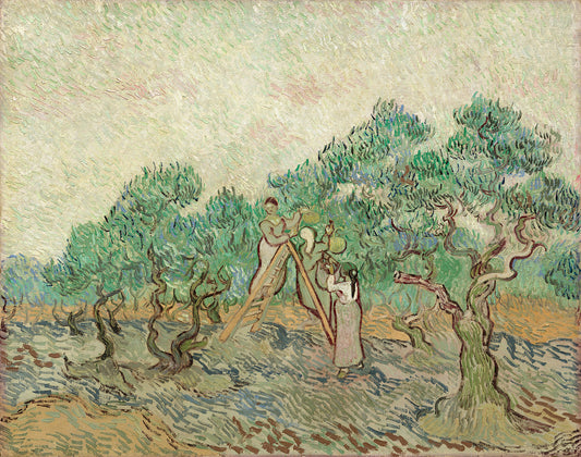 The Olive Orchard by Vincent van Gogh Art Print