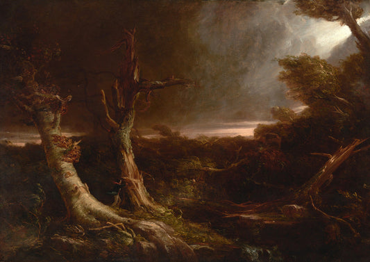 Tornado in an American Forest by Thomas Cole Art Print