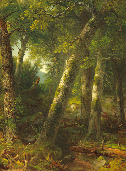 Forest in the Morning Light by Asher Brown Durand Art Print