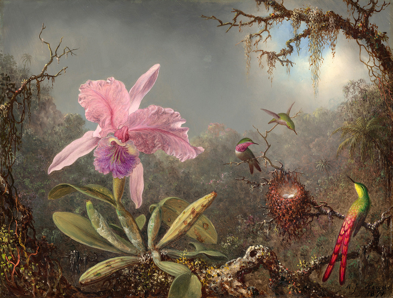 Cattleya Orchid and Three Hummingbirds by Martin Johnson Heade Art Print
