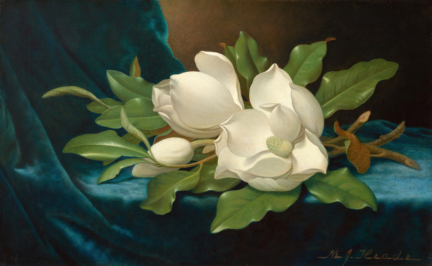 Giant Magnolias on a Blue Velvet Cloth by Martin Johnson Heade Art Print