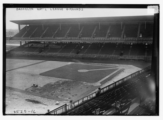 Brooklyn National League Grounds Photograph Art Print