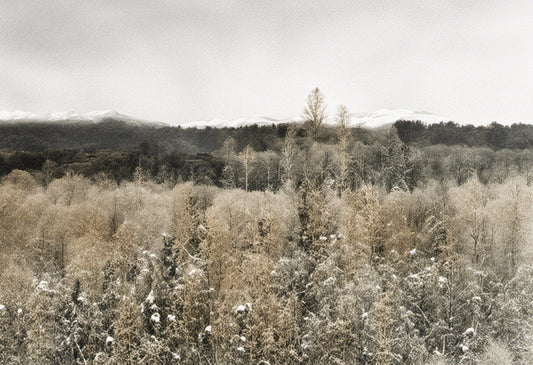 Wintery Landscape Digital Painting Art Print