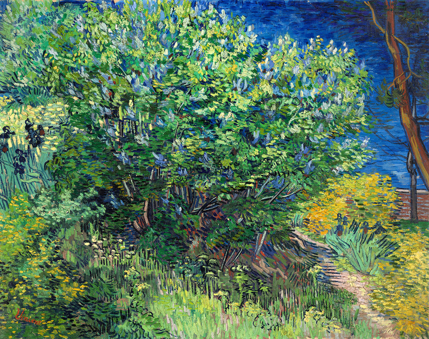 Lilac Bush by Vincent van Gogh Art Print
