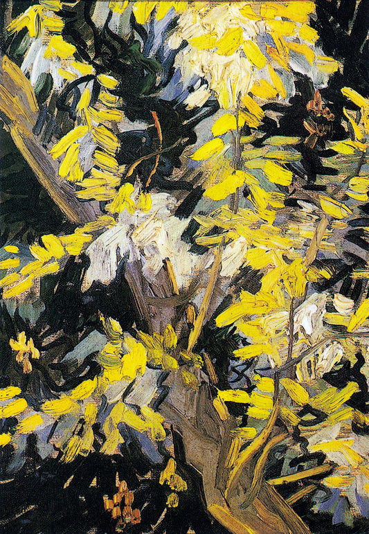 Blossoming Acacia Branches by Vincent van Gogh Art Print