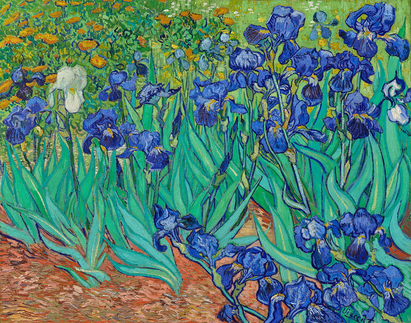 Irises by Vincent van Gogh Art Print