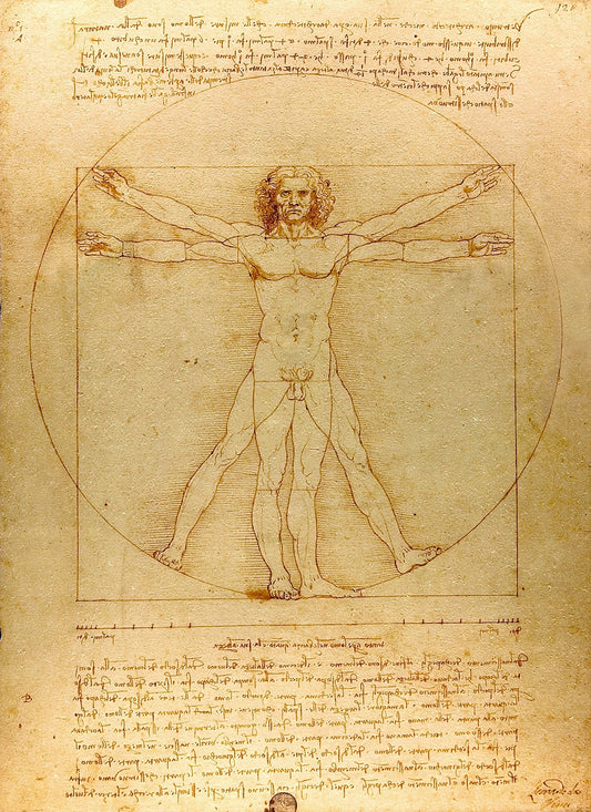 Vitruvian Man (circa 1492) by Leonardo da Vinci Art Print