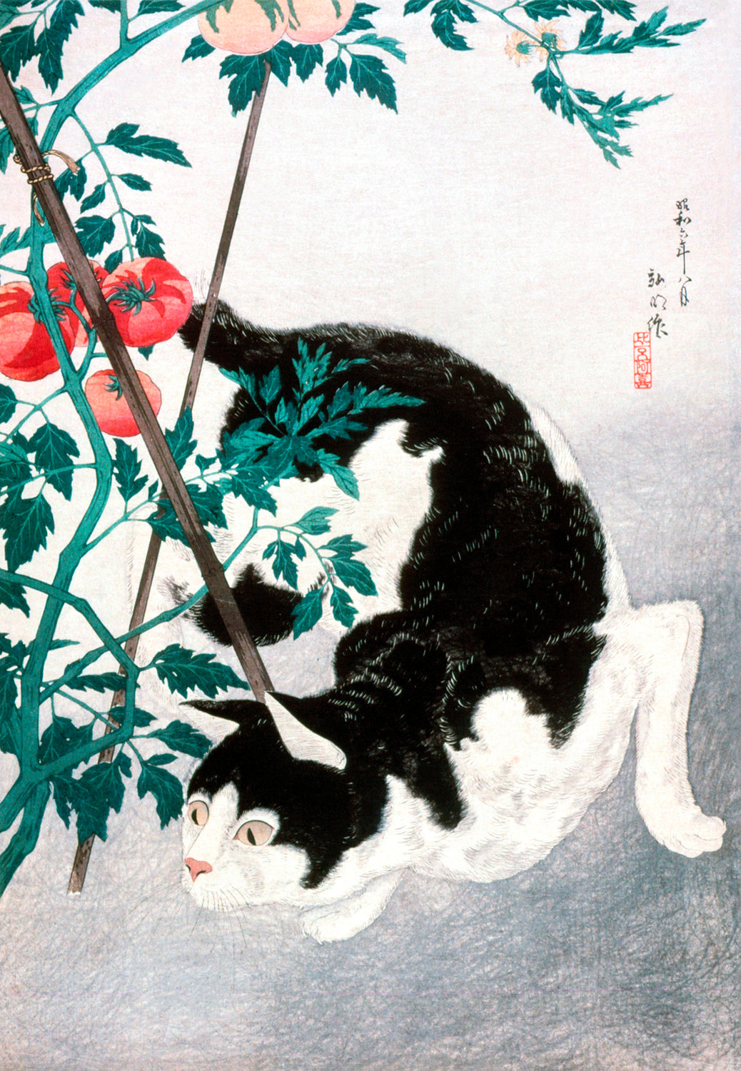 Cat with Tomato Plant by Hiroaki Takahashi Art Print