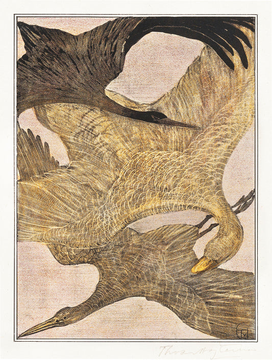 Drie vliegende vogels by Theo van Hoytema