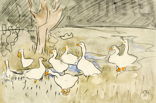 Ducks by Theo van Hoytema