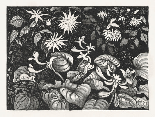 Wilde planten en bloemen by Theo van Hoytema