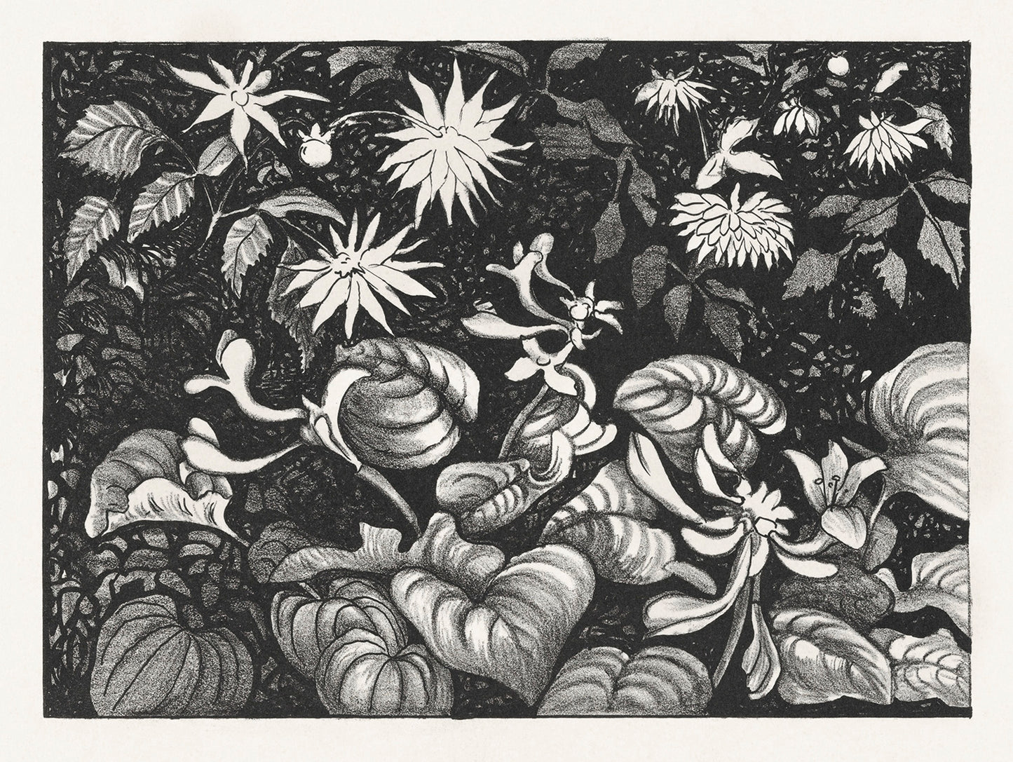 Wilde planten en bloemen by Theo van Hoytema