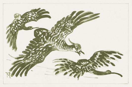 Drie vliegende vogels by Theo van Hoytema II