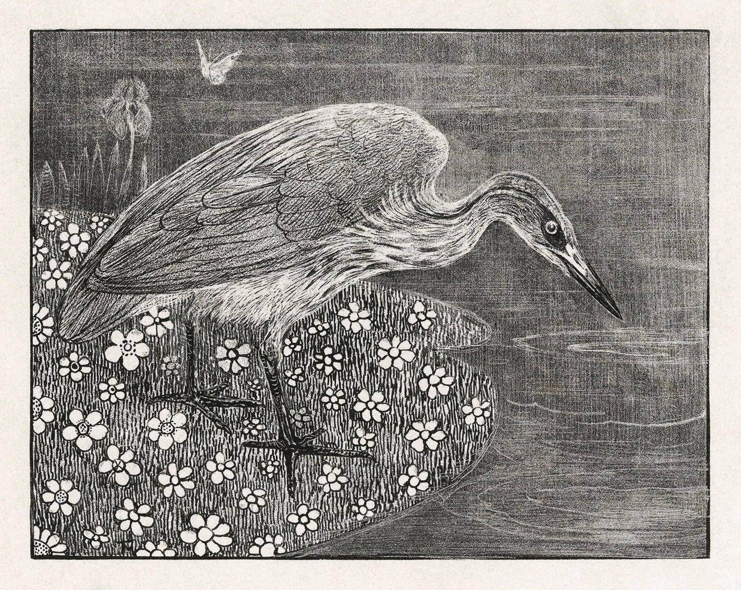 Aankondiging met reiger voor serie 'Dierstudies' by Theo van Hoytema