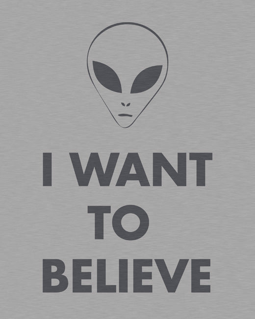 I Want To Believe, premium art print (brushed metal)