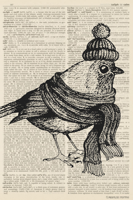 Bird In Winter Clothes (dictionary background) Poster