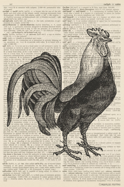Chicken Illustration (dictionary background) Poster