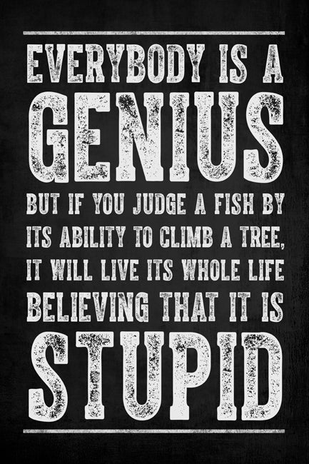 Everybody Is A Genius, motivational classroom poster