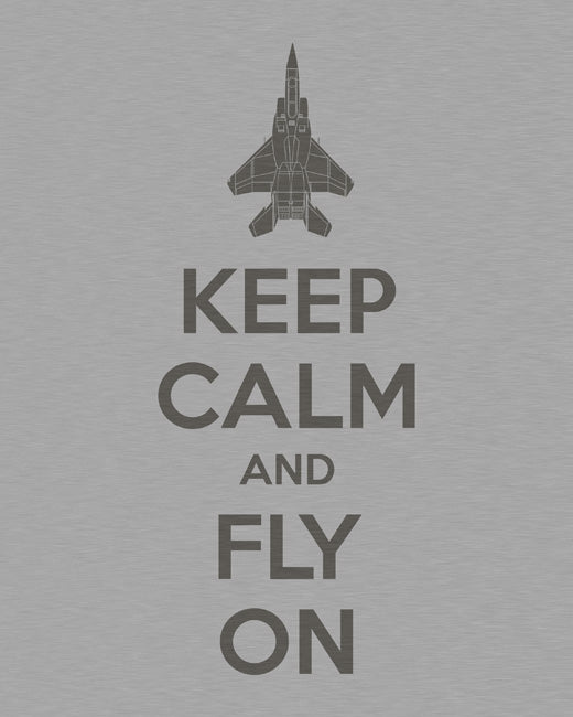 Keep Calm and Fly On, premium art print (brushed metal)