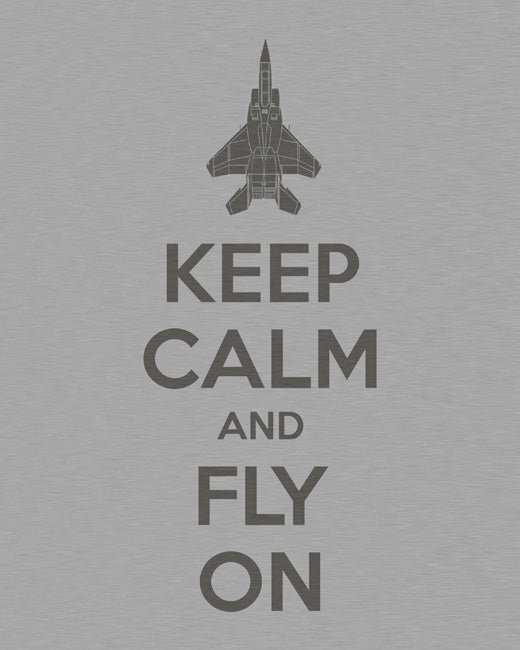 Keep Calm and Fly On, premium art print (brushed metal)