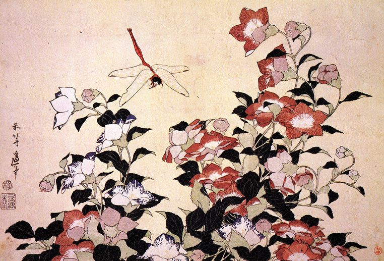 Chinese Bell Flower And Dragon Fly by Katsushika Hokusai, art print