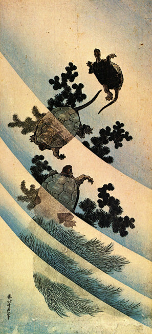 Turtles by Katsushika Hokusai, art print