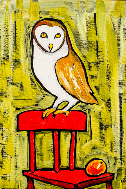Barn Owl by Ben Mann Poster Print