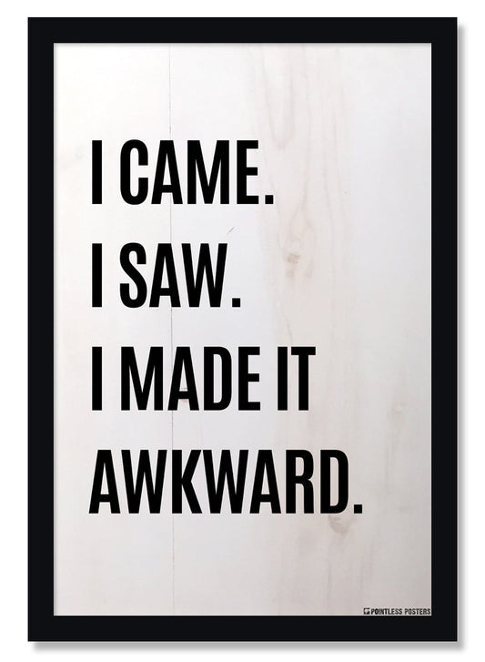 I Came I Saw I Made It Awkward Poster