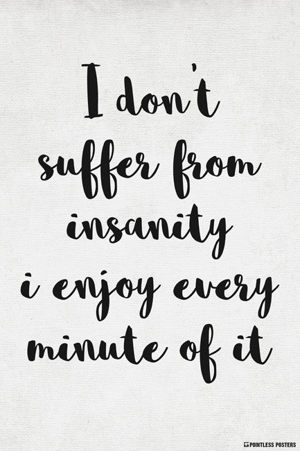 I Don't Suffer From Insanity, I Enjoy Every Minute Of It Poster