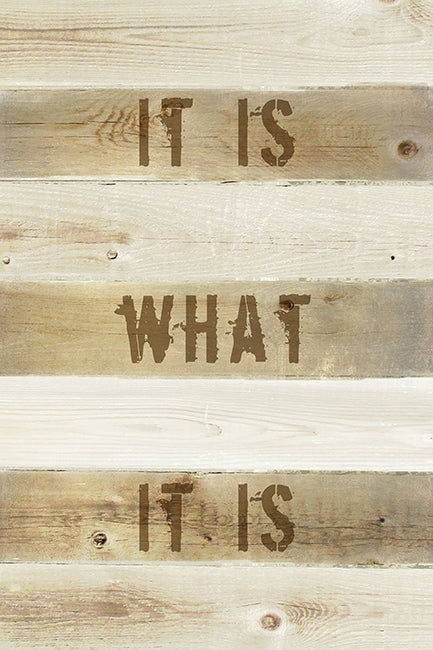 It Is What It Is, motivational poster