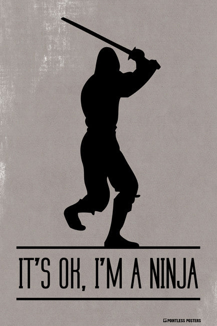 It's Ok, I'm A Ninja Poster