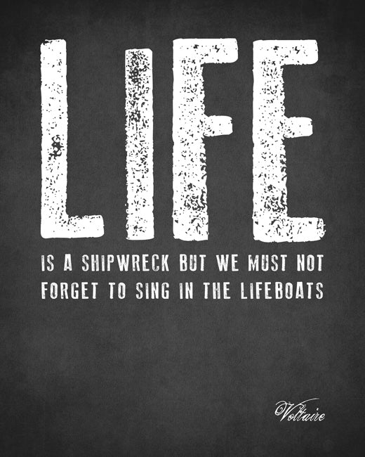 Life Is A Shipwreck (Voltaire Quote), premium art print