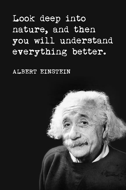 Look Deep Into Nature (Albert Einstein Quote), motivational poster