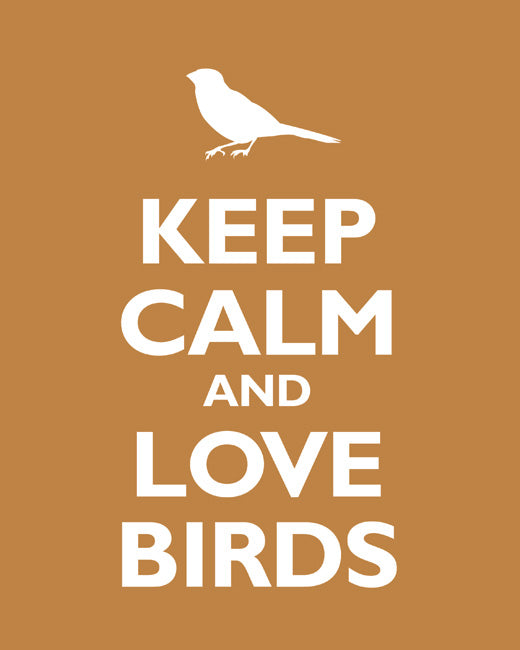 Keep Calm and Love Birds, premium art print (copper)