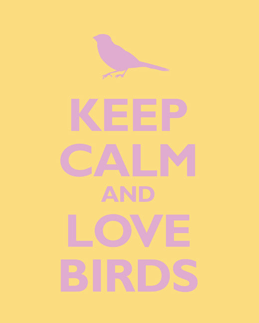 Keep Calm and Love Birds, premium art print (daffodil)