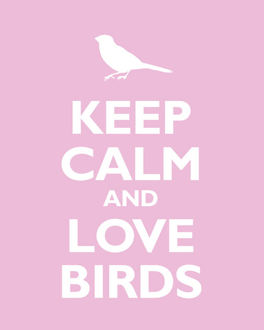 Keep Calm and Love Birds, premium art print (light pink)