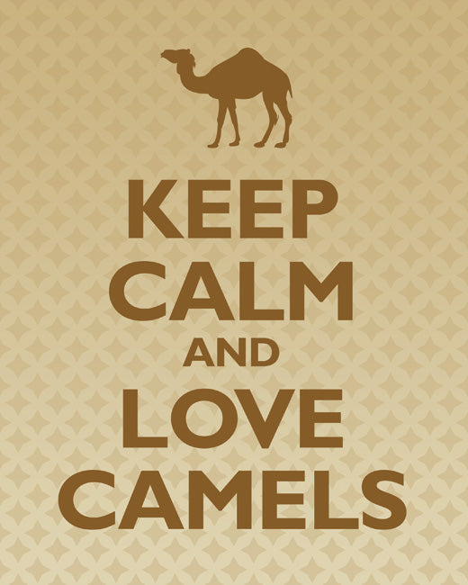 Keep Calm and Love Camels, premium art print (gold ornaments)