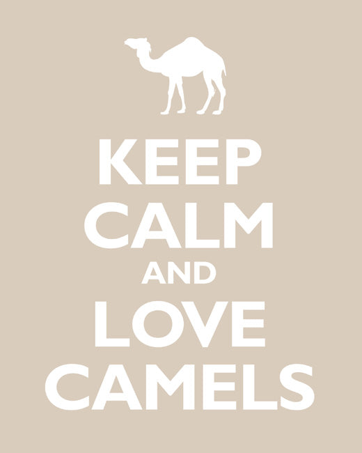 Keep Calm and Love Camels, premium art print (light khaki)