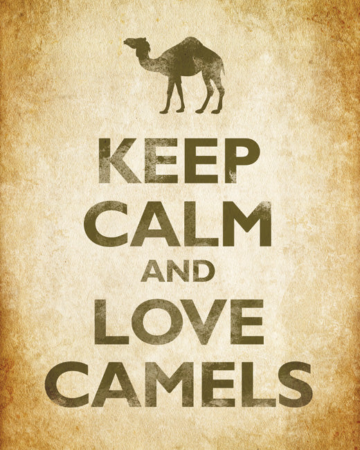 Keep Calm and Love Camels, premium art print (old paper)