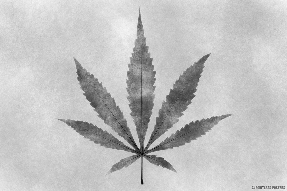 Marijuana Charcoal Sketch Weed Art Poster