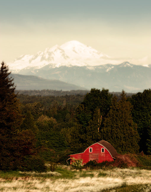 Country View, premium art print