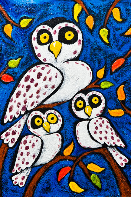 Owl Trio by Ben Mann Poster Print