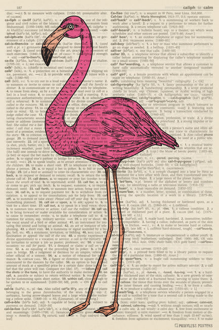 Pink Flamingo Illustration (dictionary background) Poster