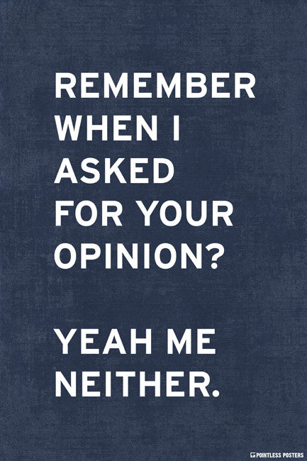 Remember When I Asked For Your Opinion Poster