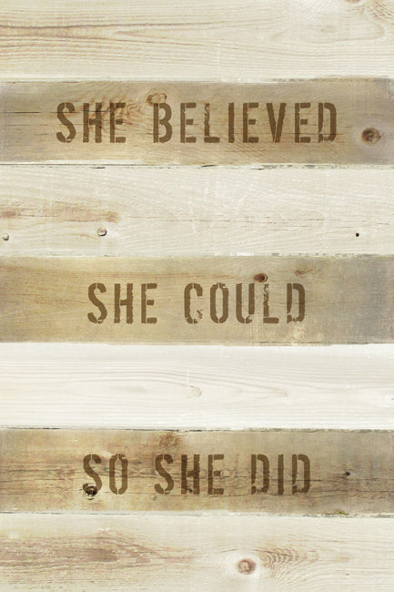 She Believed She Could So She Did, motivational poster